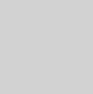 Light Grey (E-58)
